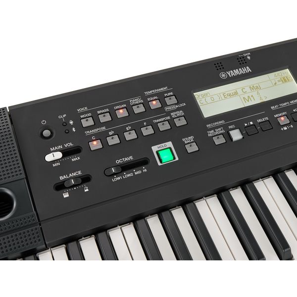 Yamaha HD-300 Harmony Director