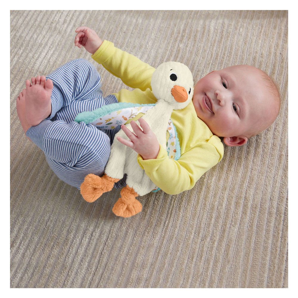 Fisher Price Planet Friends Knuffel Gans