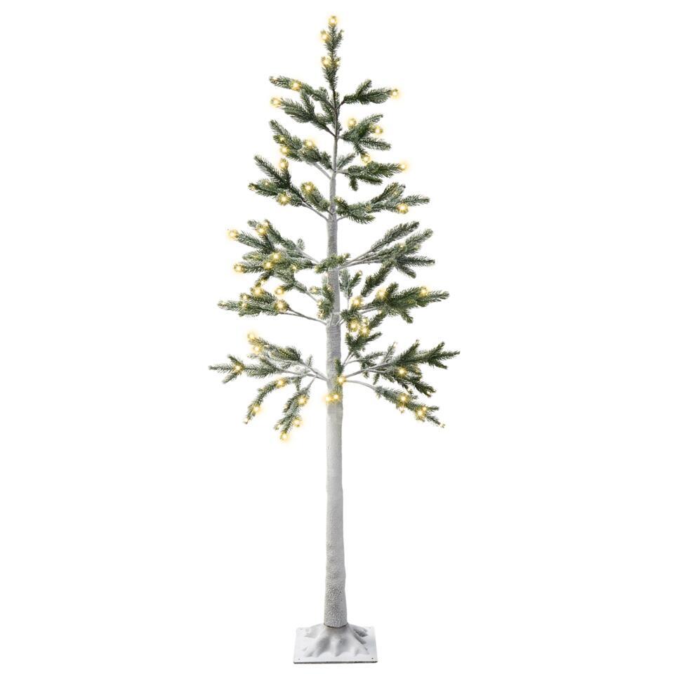 ALBIONI - LED-verlichting voor buiten - Wit - 180 cm - PVC