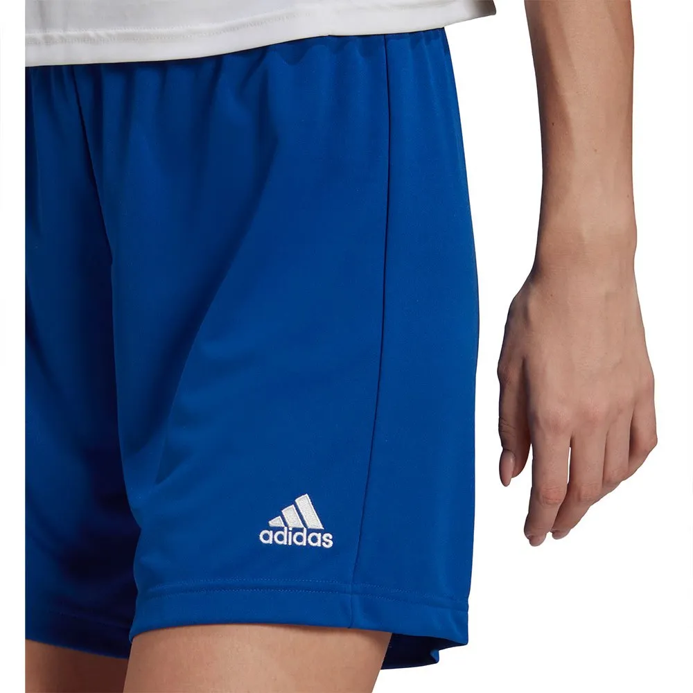 calções adidas Entrada 22