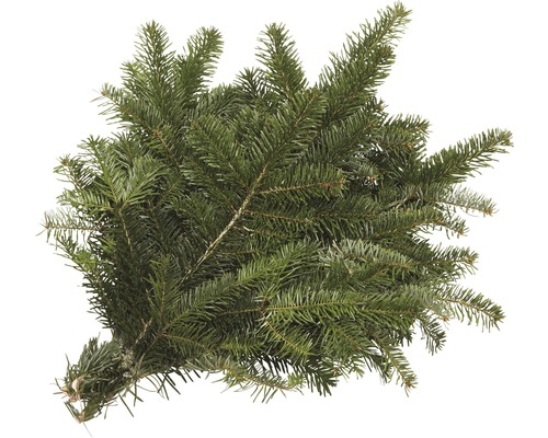 Dennengroen, Nordmannspar, snijgroen, kleine handgebonden bundel, ca. 0,5 kg