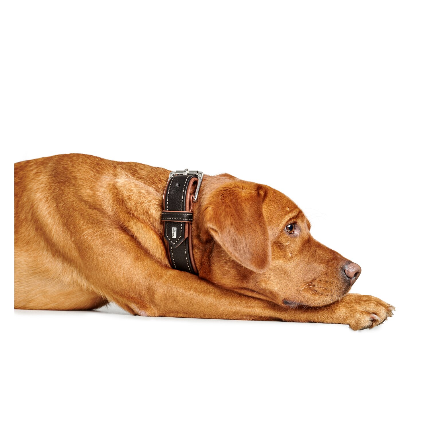 HUNTER Halsband Canadian Up - schwarz/cognac