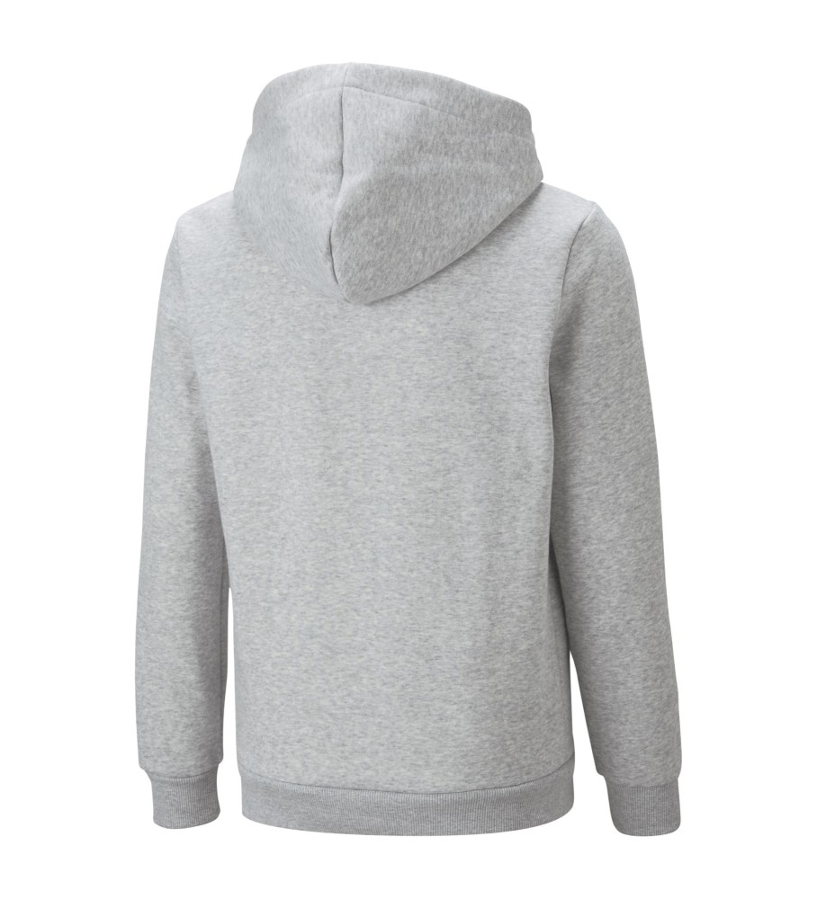 Moletom com capuz Puma Essentials+ Two-Tone Big Logo, cinza