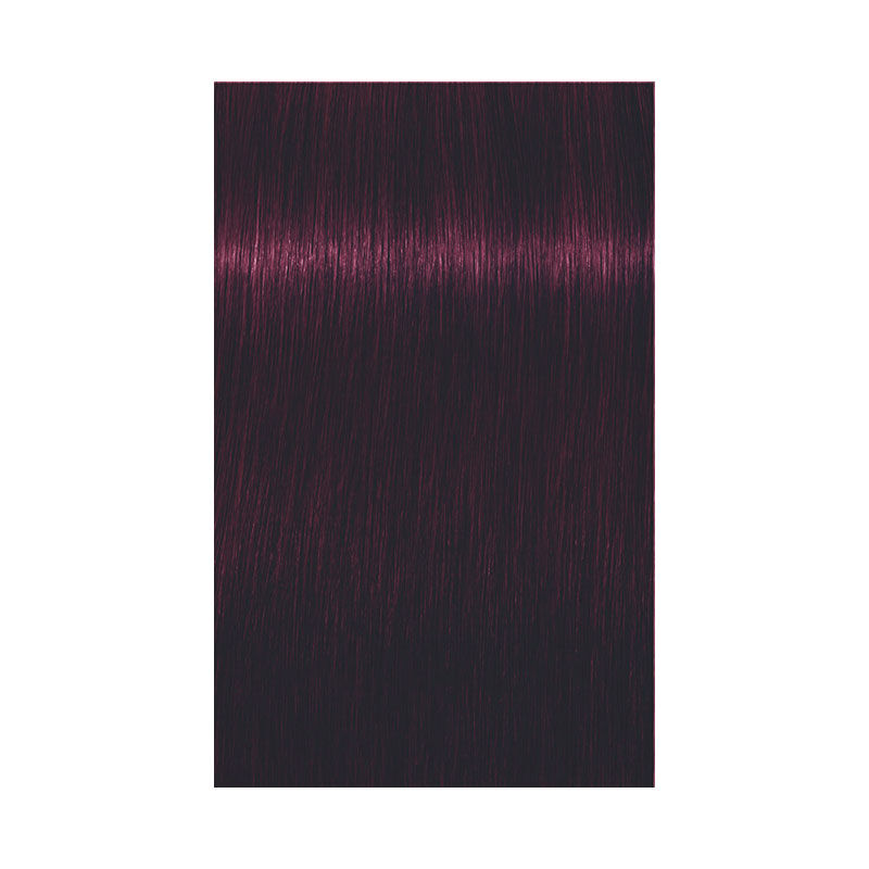 Coloration permanente Igora Royal 4-99 châtain violet extra