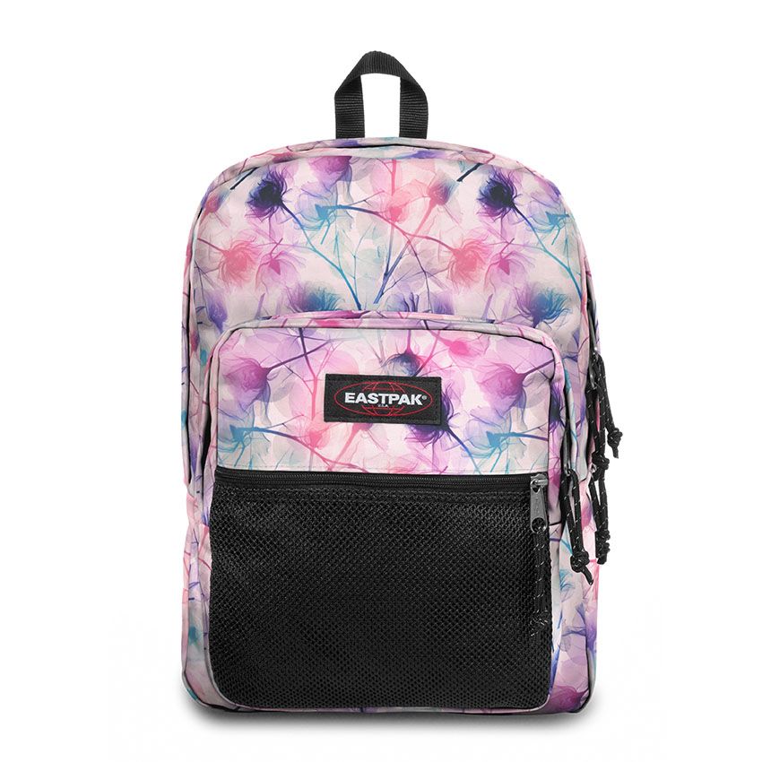 Purple Ray Bundle