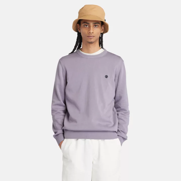 Pull à col rond Williams River pour homme en violet
