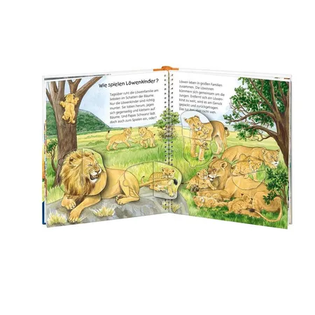 Ravensburger Wieso? Weshalb? Warum? Mein erstes Vorschulbuch: Buchstaben und Zahlen