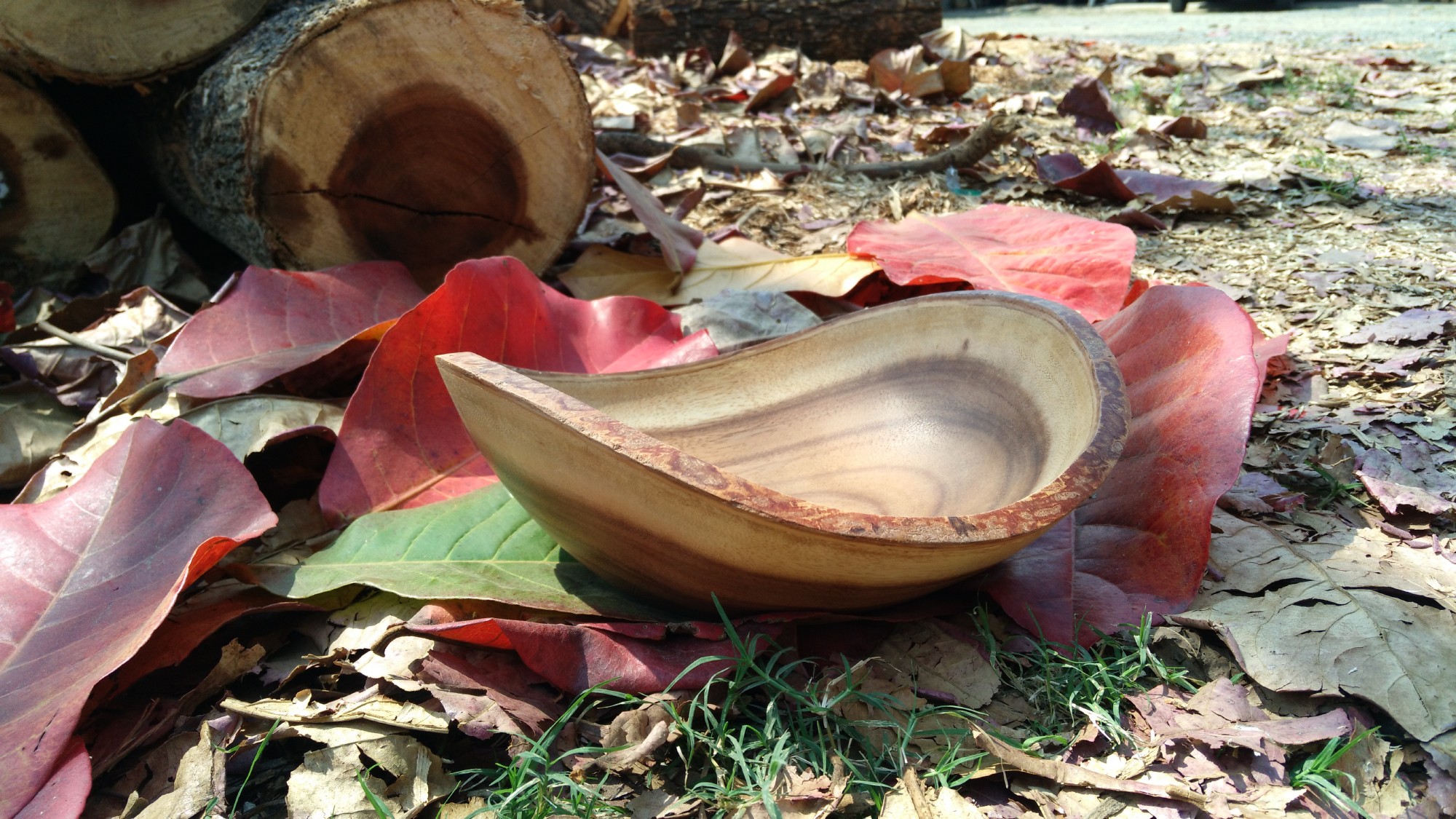 Baumrinden-Schale oval, Akazienholz, B 25 cm, L 22 cm, H 8,5 cm von fischer's lagerhaus