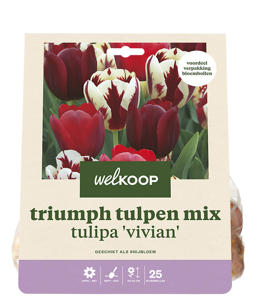 Welkoop Tulpen mix Dori - Bloembollen