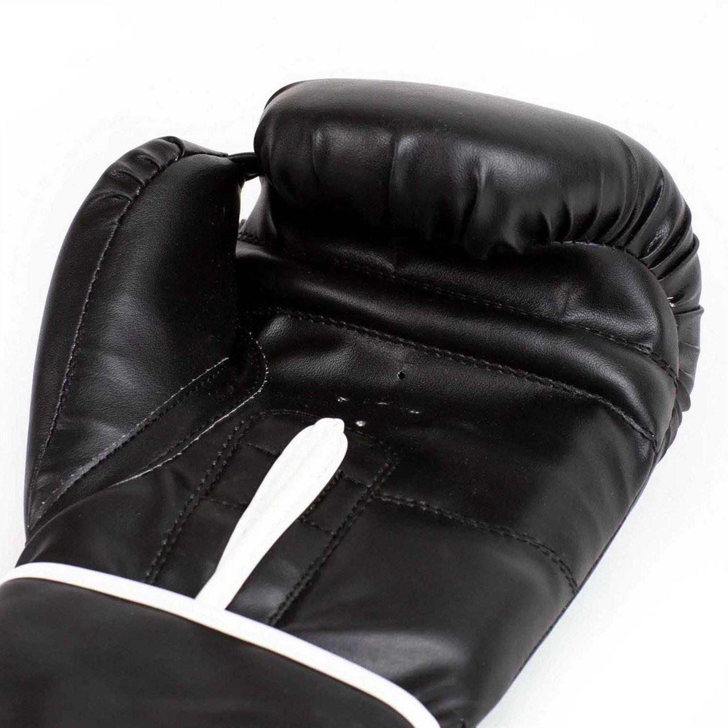 Everlast Core2 Boxing Glove