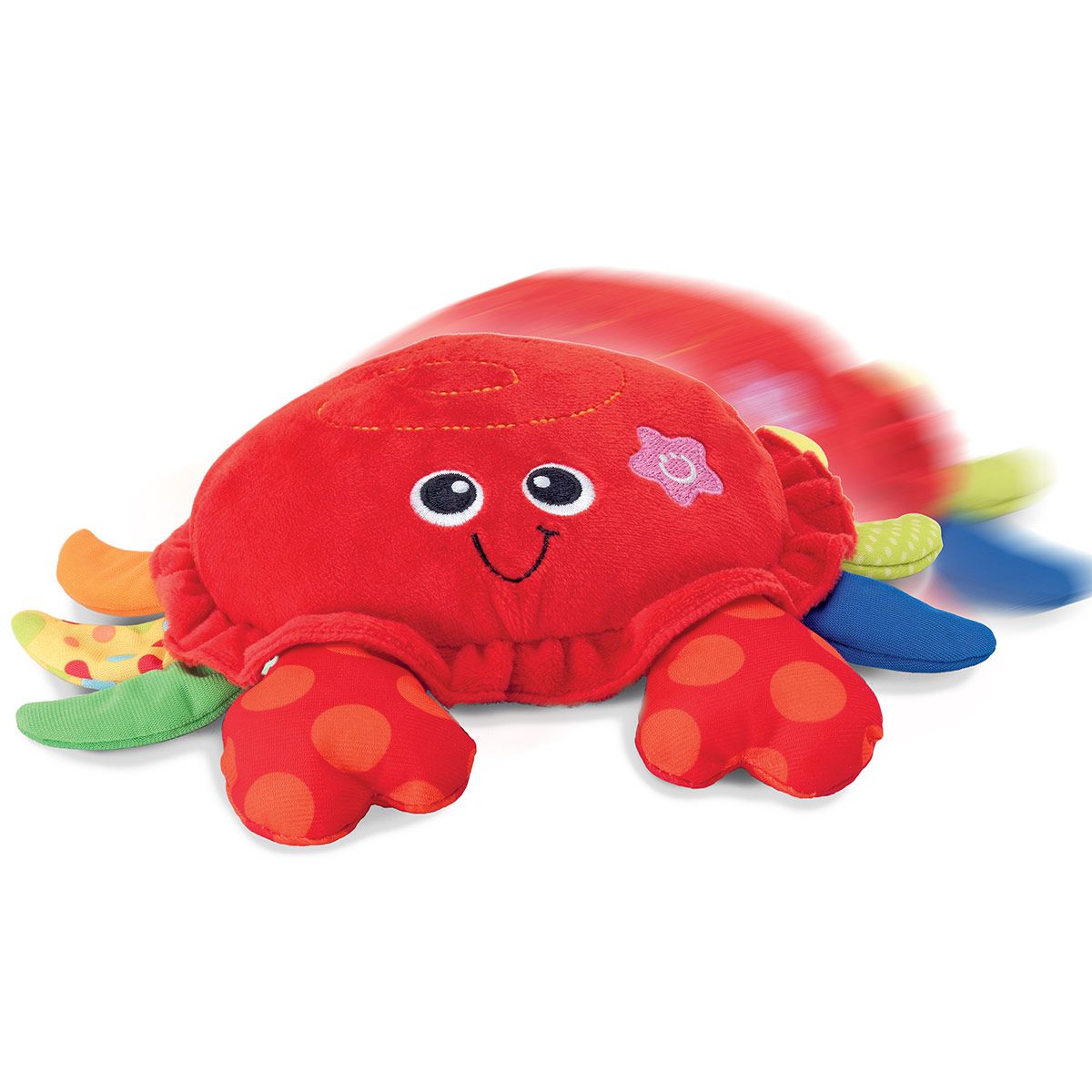 Mon crabe se balade