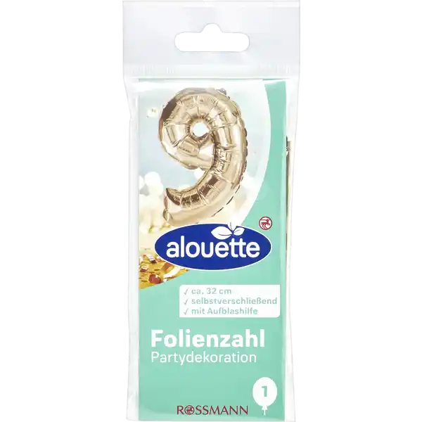 Folienzahl 9