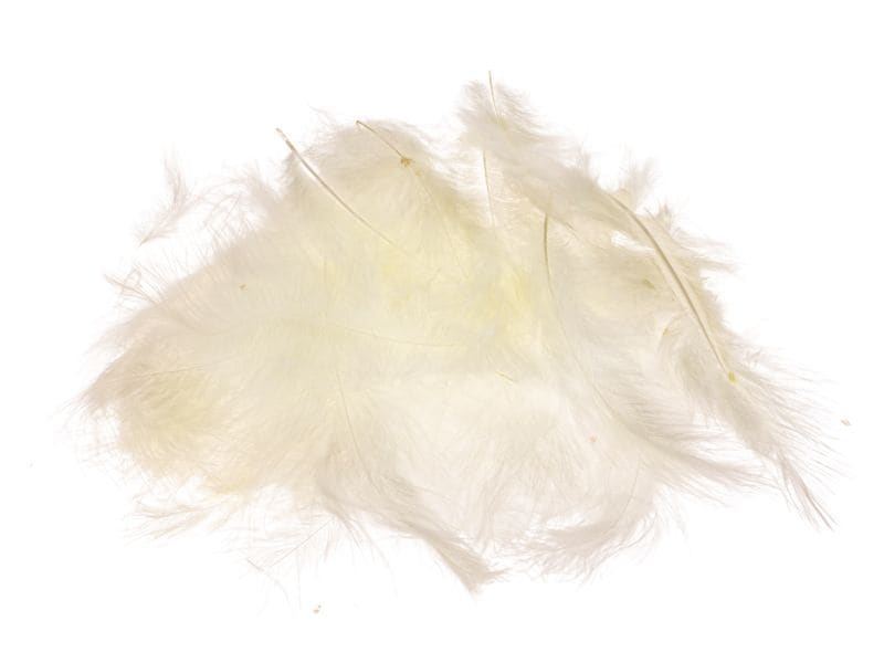 Opiflor Marabufedern 45g, Creme Grosse, weiche Federn zum Dekorieren