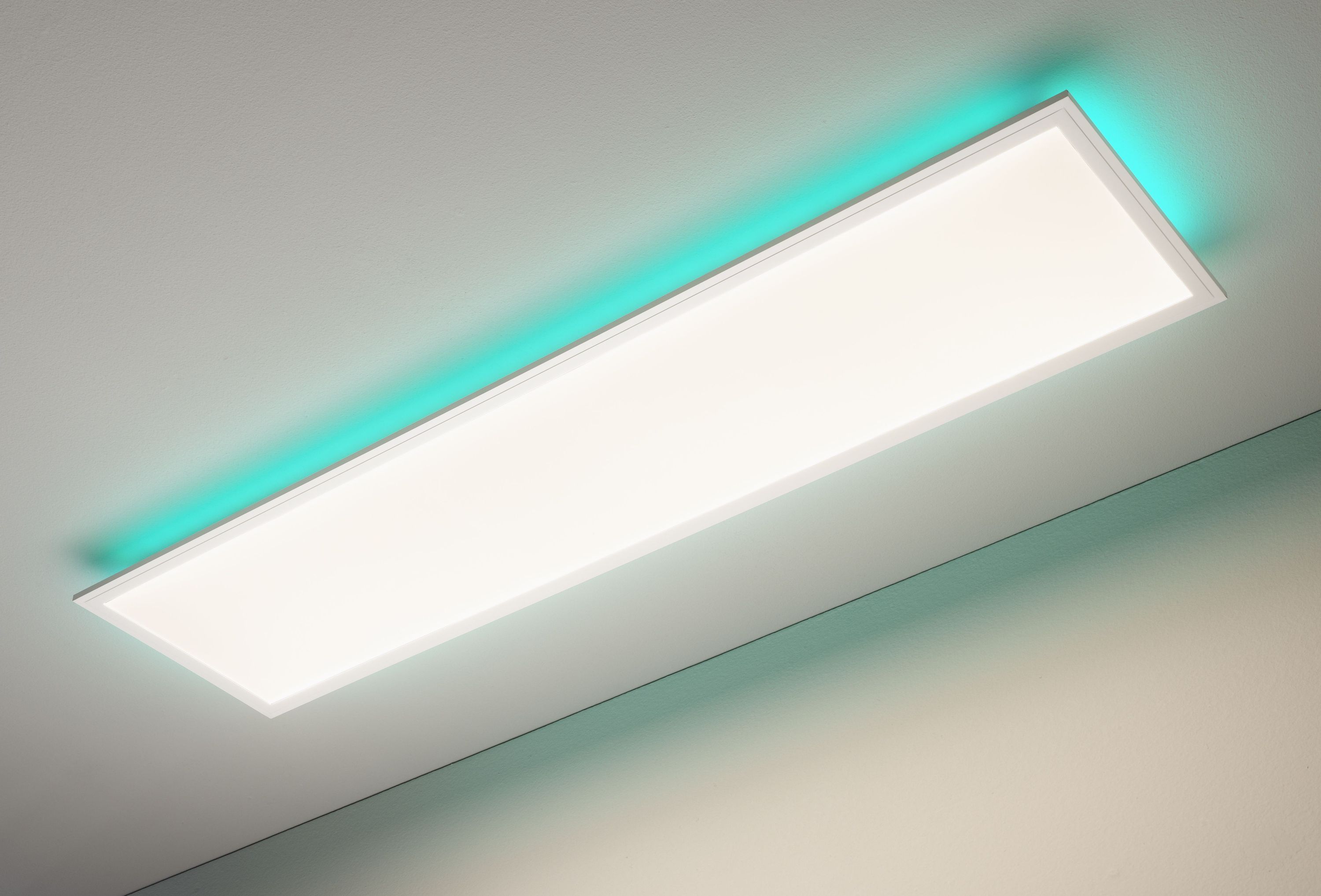 Panel COLORES