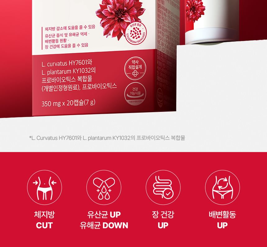 FOODOLOGY - Coleology Cut Diet Probiotica