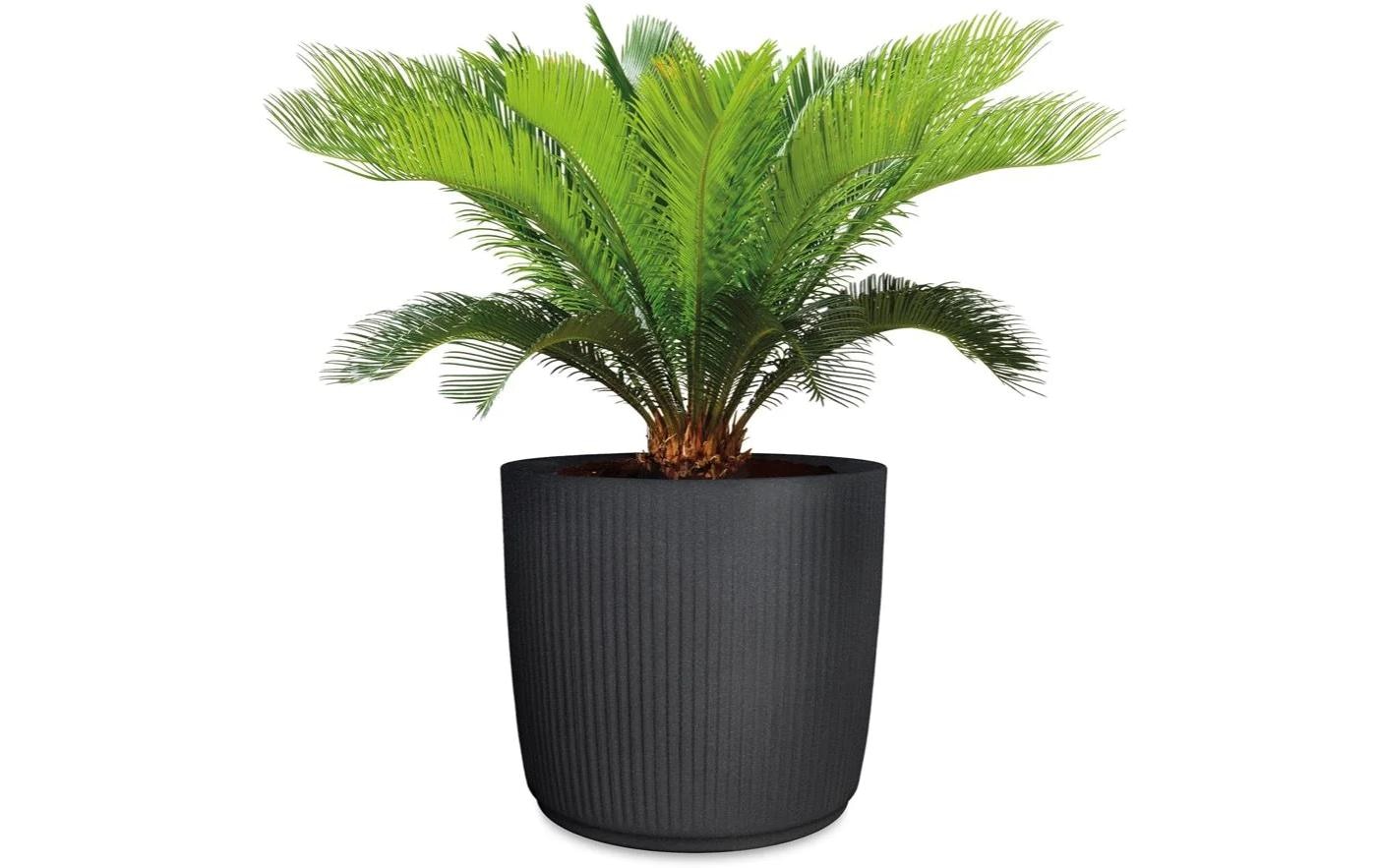 Scheurich Blumentopf »30/259 Granit«