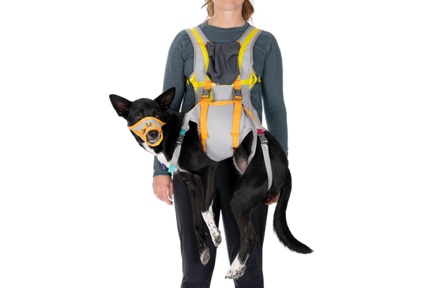 Kjøp Ruffwear BackTrak Dog Evacuation Kit fra Hekta på tur!