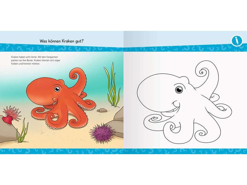 Ravensburger Kinder-Sachbuch WWW junior AKTIV: Am Meer Erstes Ausmalen, Rätseln, Schneiden und Kleben