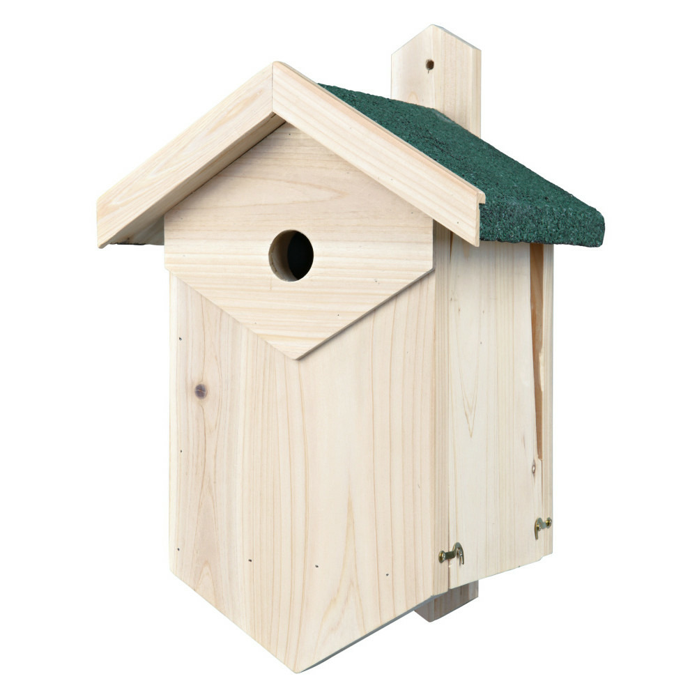 Nichoir oiseaux en bois, nichant dans les cavités, grande ouverture