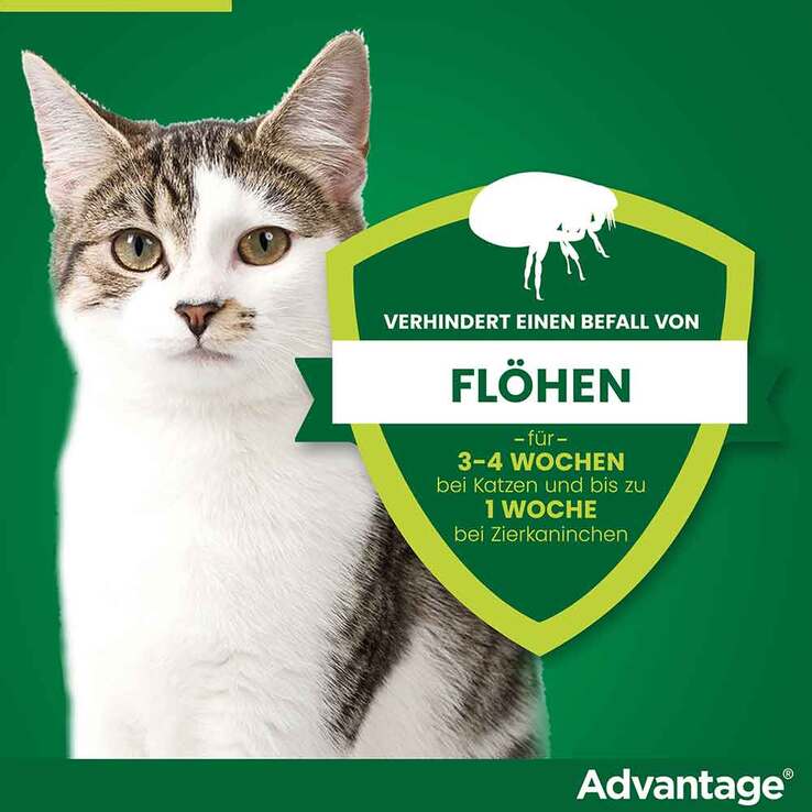 Advantage 80 für große Katzen und Zierkaninchen ab 4 kg, 4X0.8 ml