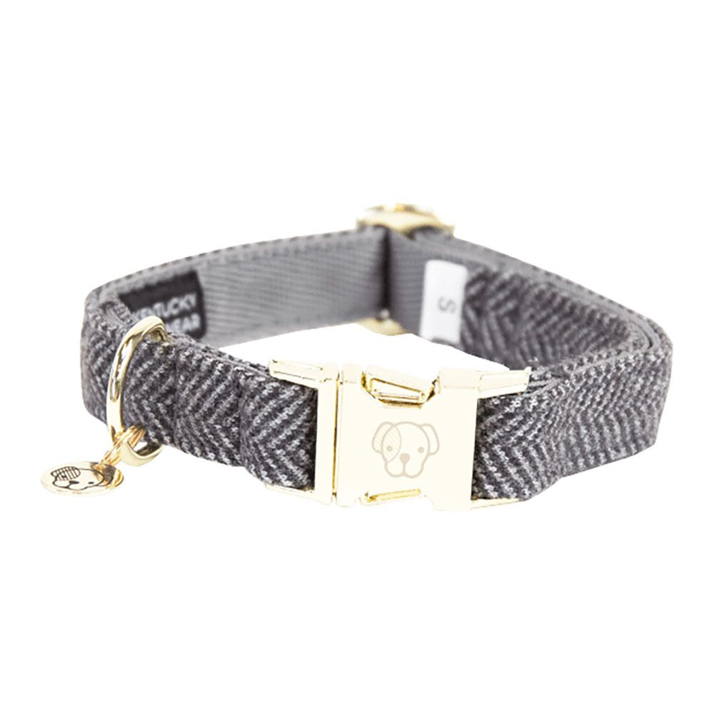 Kentucky LAINE -  Collier pour chien gris