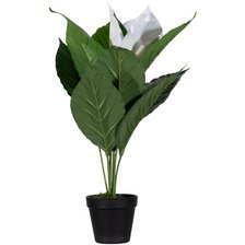 Plante artificielle 'fleur de lune', (H)550 mm