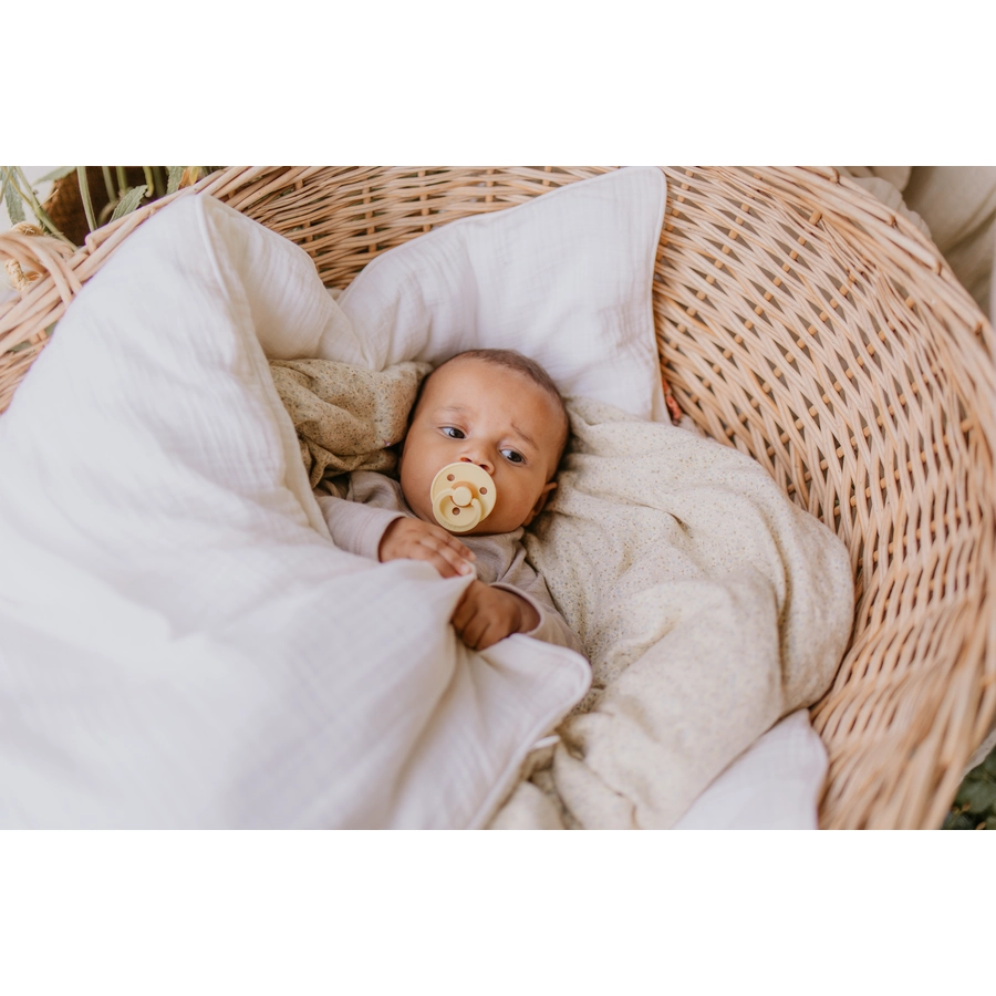 BIBS® Schnuller Colour Pale Butter & Dusty Pink 0-6 Monate, 2 Stk.