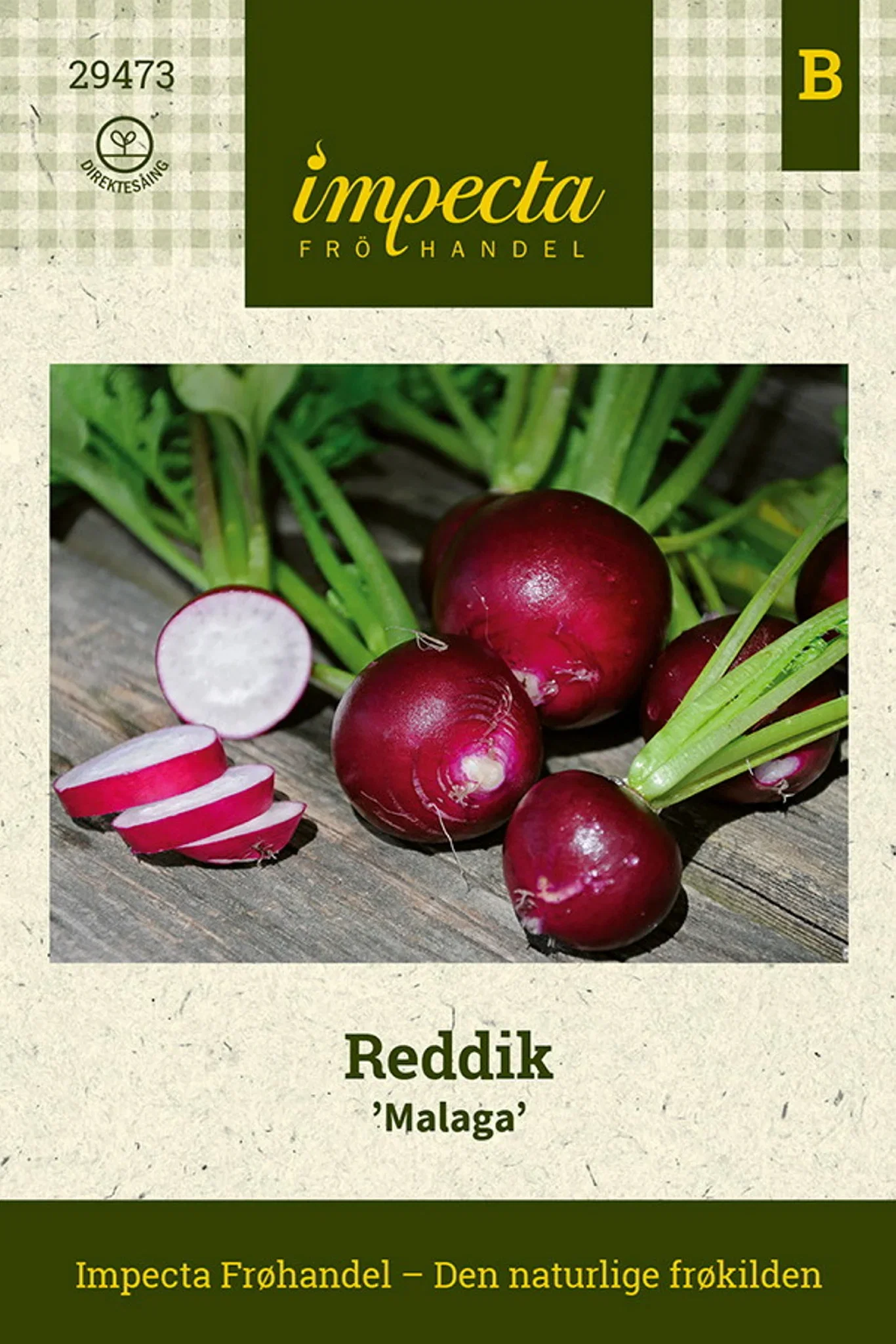 Raphanus sativus 'Malaga' Reddik 'Malaga'