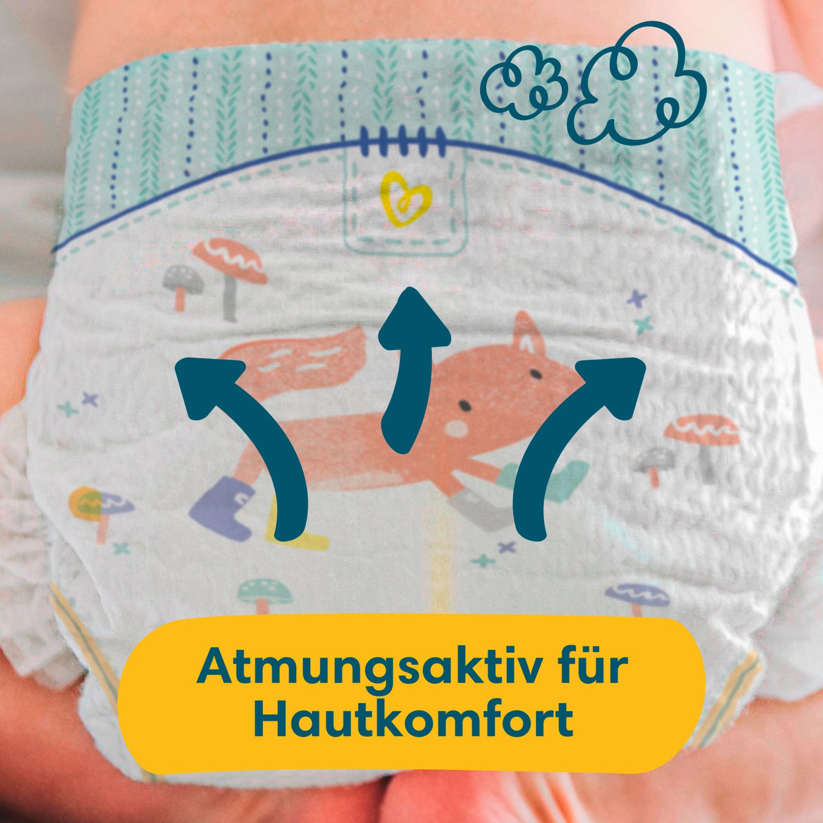 Pampers Premium Protection Grösse 2 Monatsbox 240 Windeln