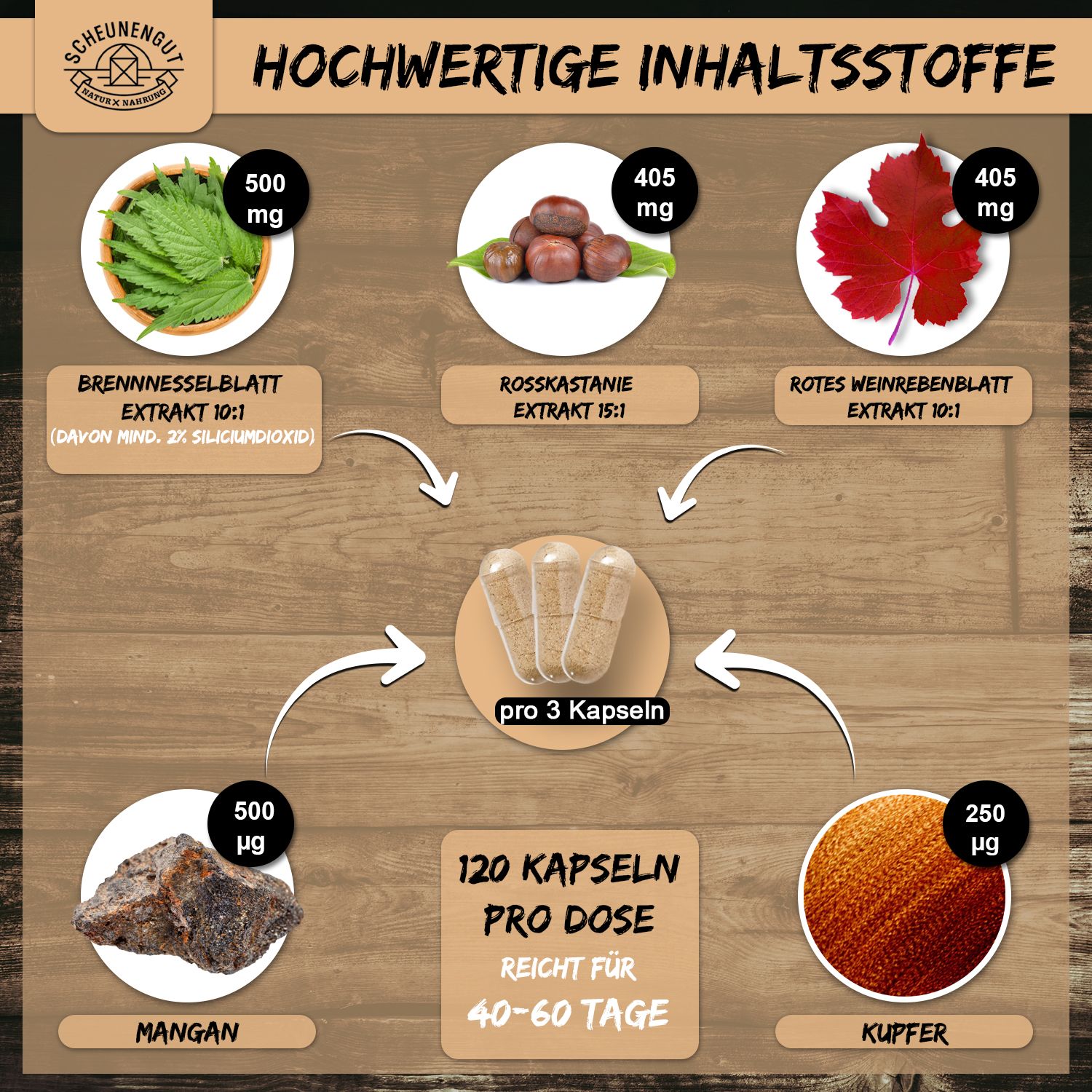 Scheunengut® WASSERAUSGLEICH | pflanzliche Entwässerungskapseln mit Brennnessel, Rosskastanie uvm.