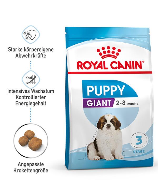 ROYAL CANIN® Trockenfutter für Hunde Giant