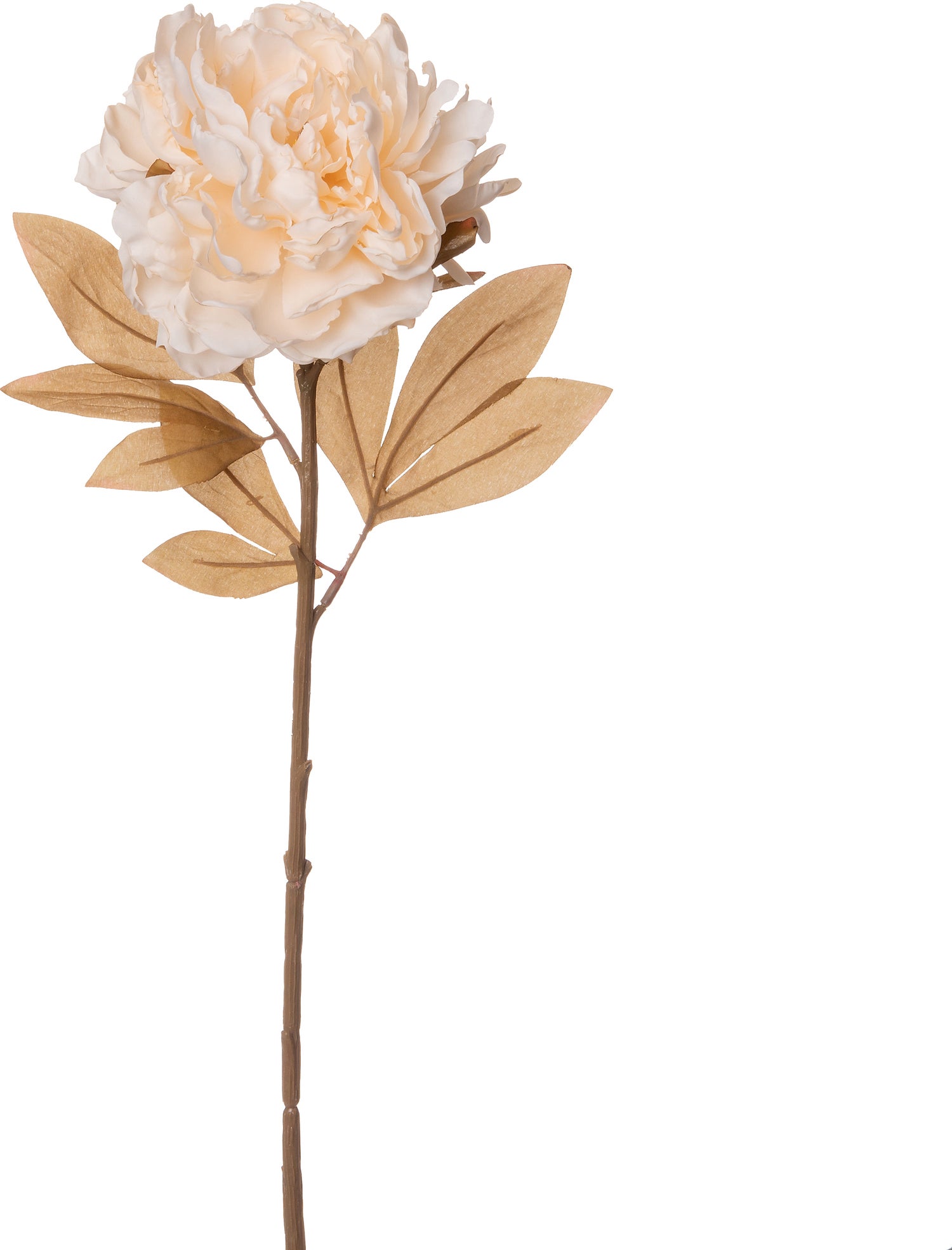 Intratuin kunstbloem Pioen 77 cm crème