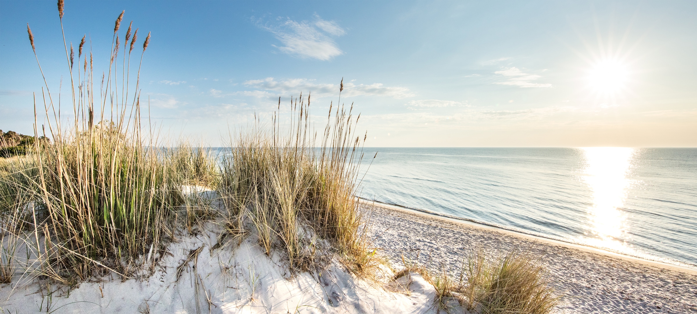 Bönninghoff Leinwandbild Düne | Strand 1 Stk. tlg. BxH: 200x90 cm