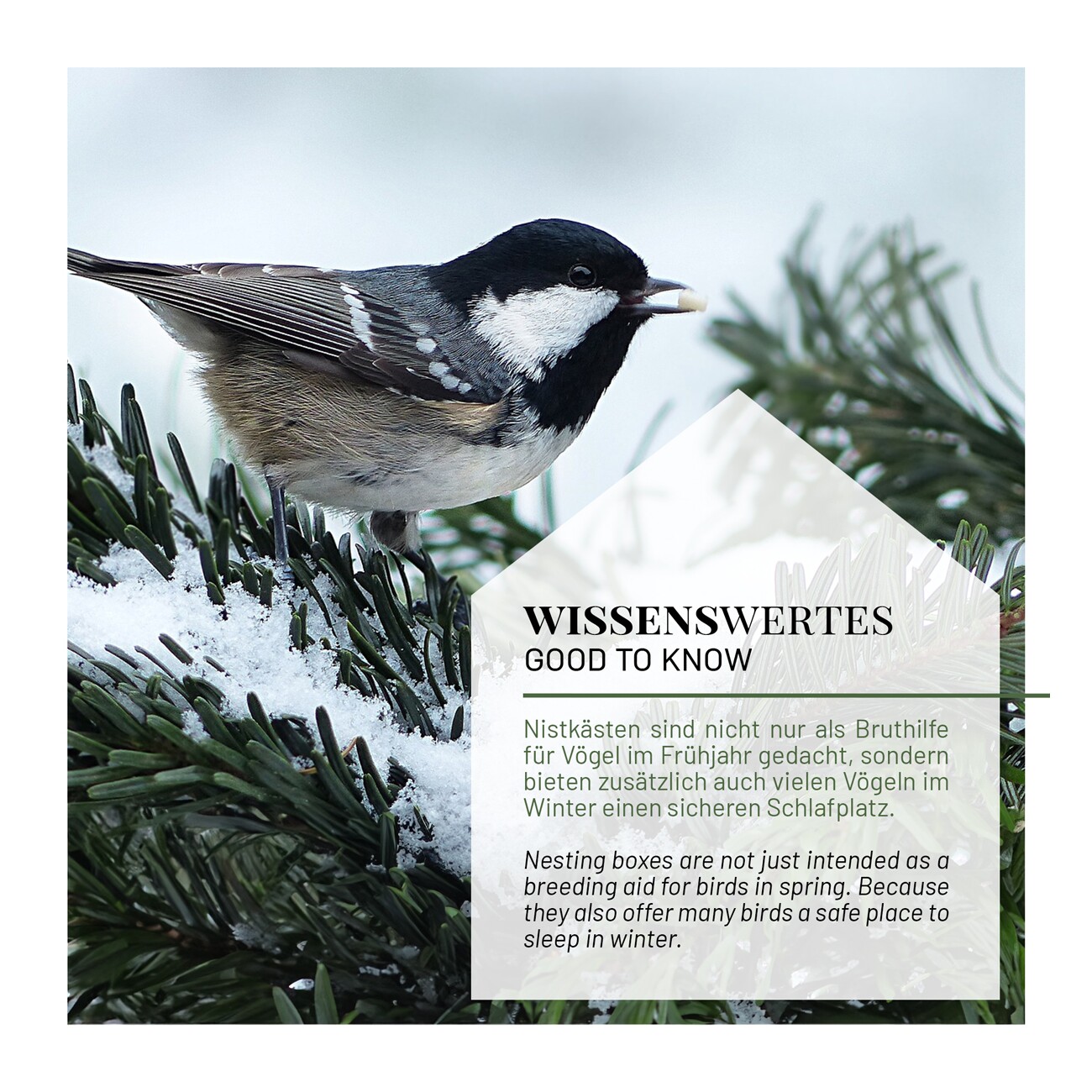 WILDLIFE HOME Nistkasten 28mm, 2er Set (Bundle)