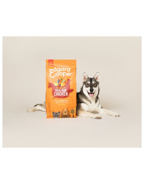 Edgard&Cooper Free-Run Chicken Adult Kip&Mango&Bessen - Hondenvoer