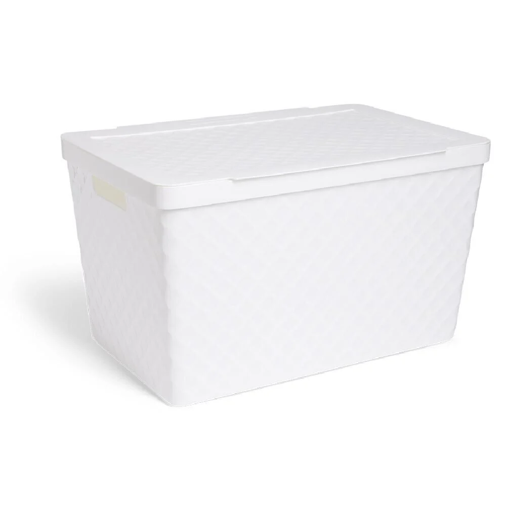 Boîte de rangement 51L plastique 56x36x32cm