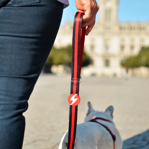 Guia para cães Dashi Stripes em poliéster vermelho e preto