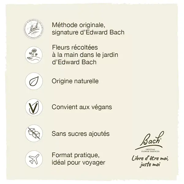 Fleurs de Bach Original - Star of Bethlehem 20ml