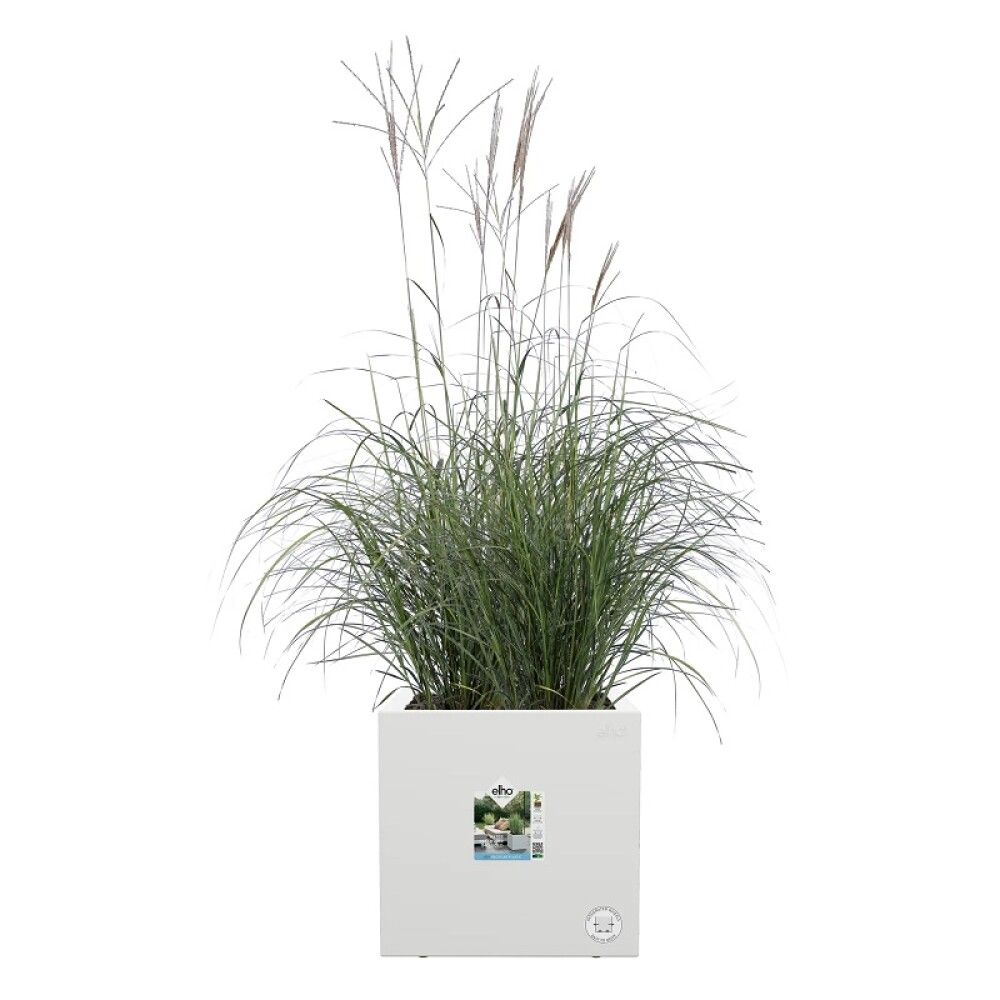 UTEPOTTE ELHO VIVO NEXT SQUARE MED HJUL HVIT 40CM