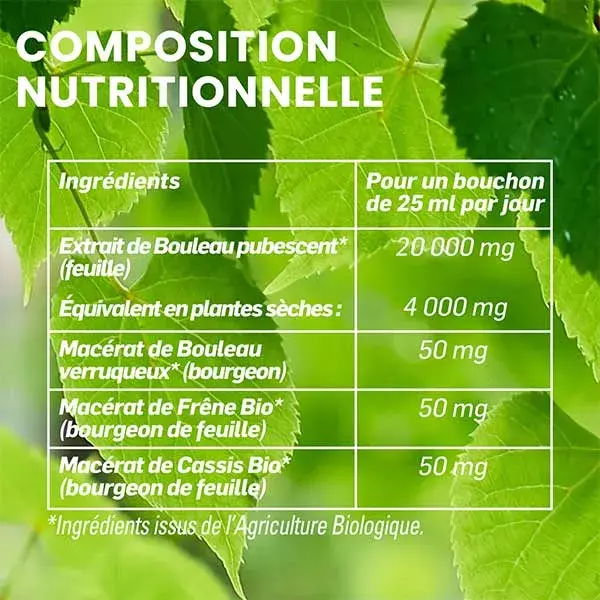 Santarome Bio Jus de Bouleau Bio - Draine & Détoxifie - Lot de 2 x 200ml
