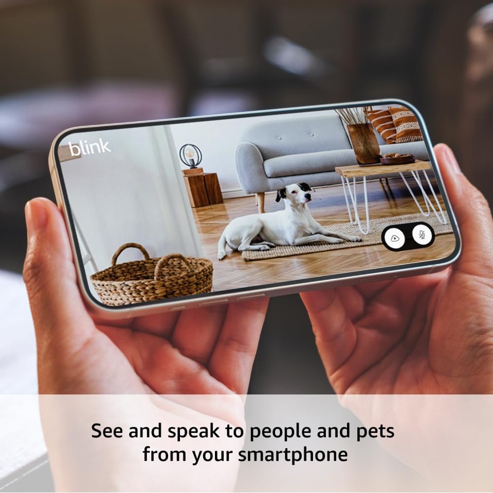 Blink - Mini 2 Smart Indoor Wireless Security Camera Sort