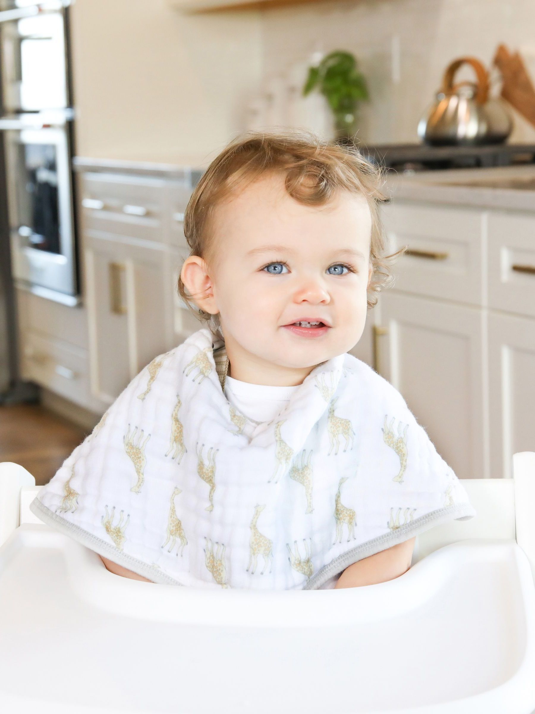 aden + anais Essentials 100% katoenen Muslin History babyslabbetjes