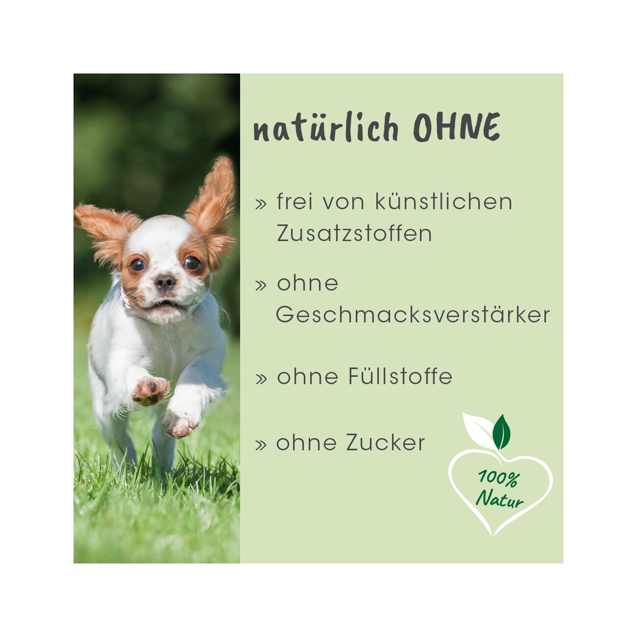 cdVet ArthroGreen Junior 25 g