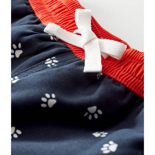 Petit Bateau - FEROE - Multicolore