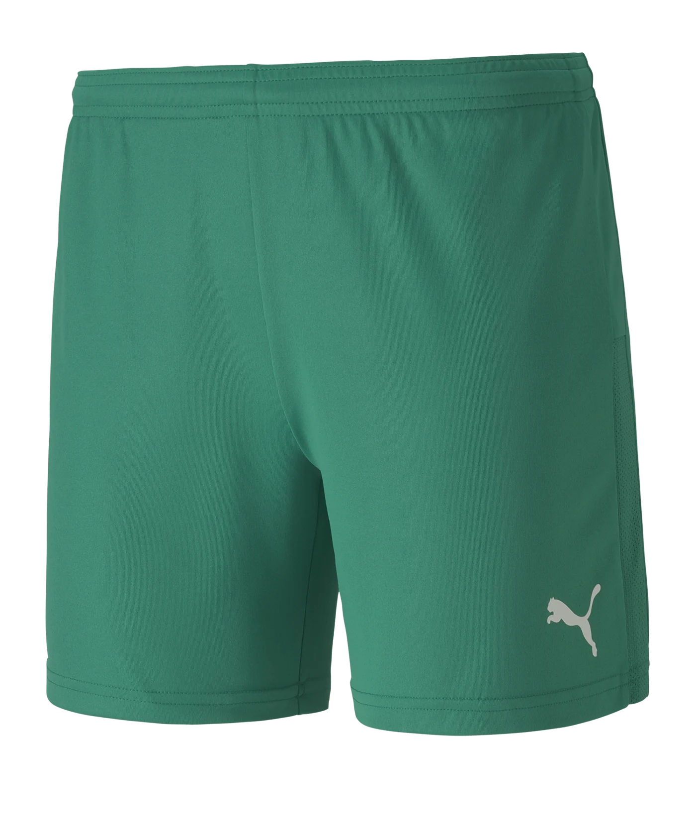 PUMA teamGOAL 23 Knit Shorts Damen Grün F05