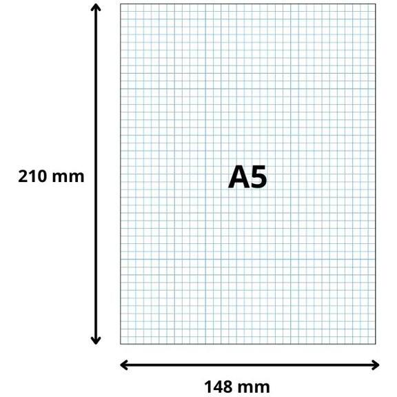 Paquet 100 fiches sous film - bristol quadrillé 5x5 perforé 148x210mm - Blanc