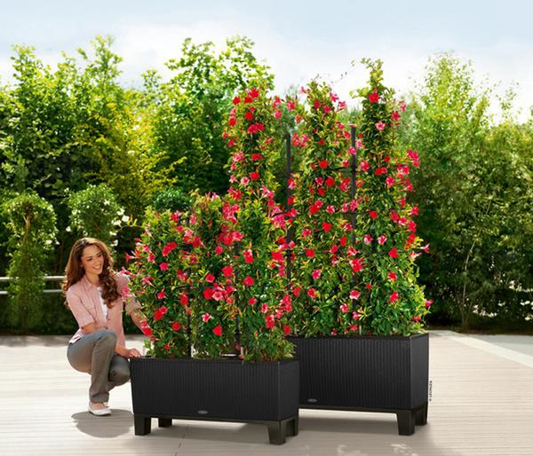 LECHUZA® Polyrattan-Kasten Trio Cottage,