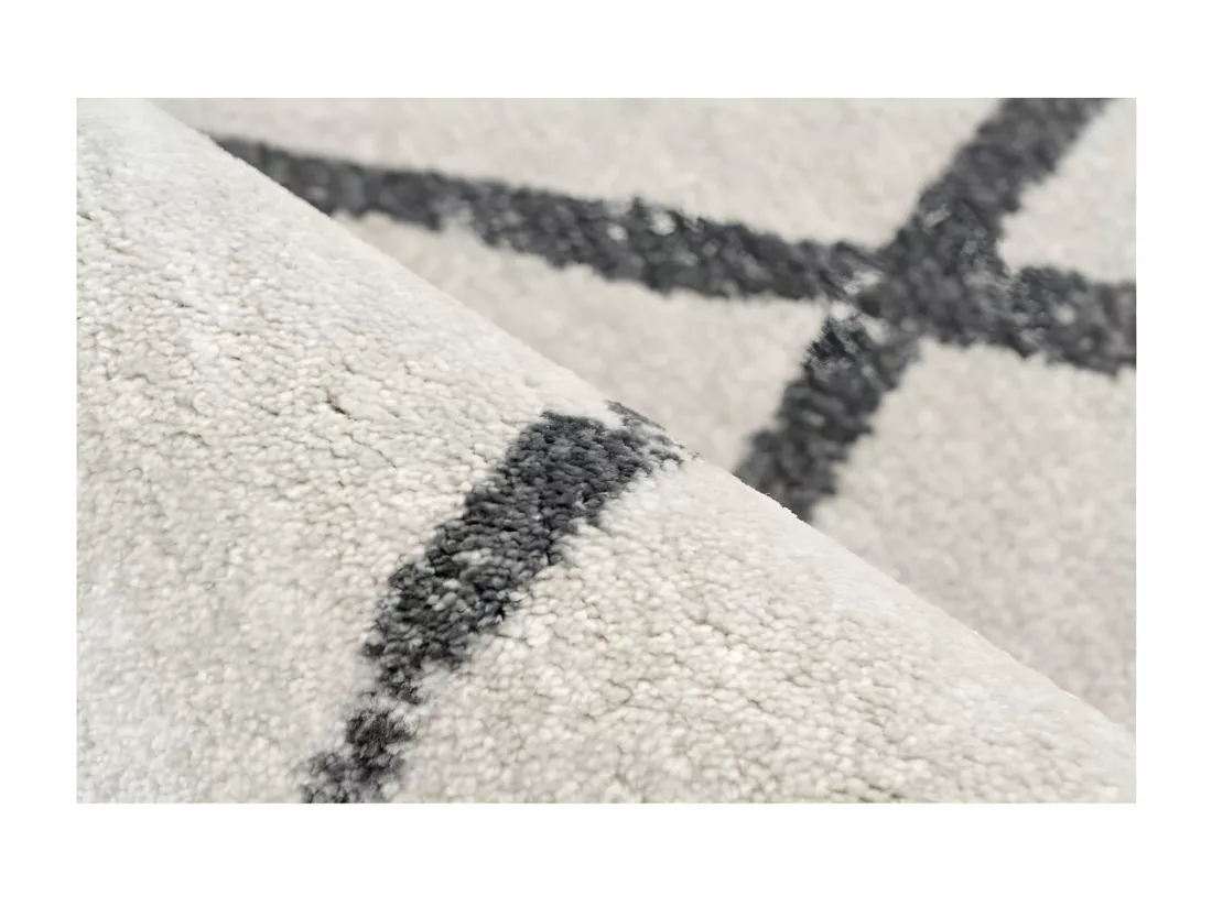Tapis 290x200cm, design A105R coloris Ivoire - Confort et élégance pour votre intérieur