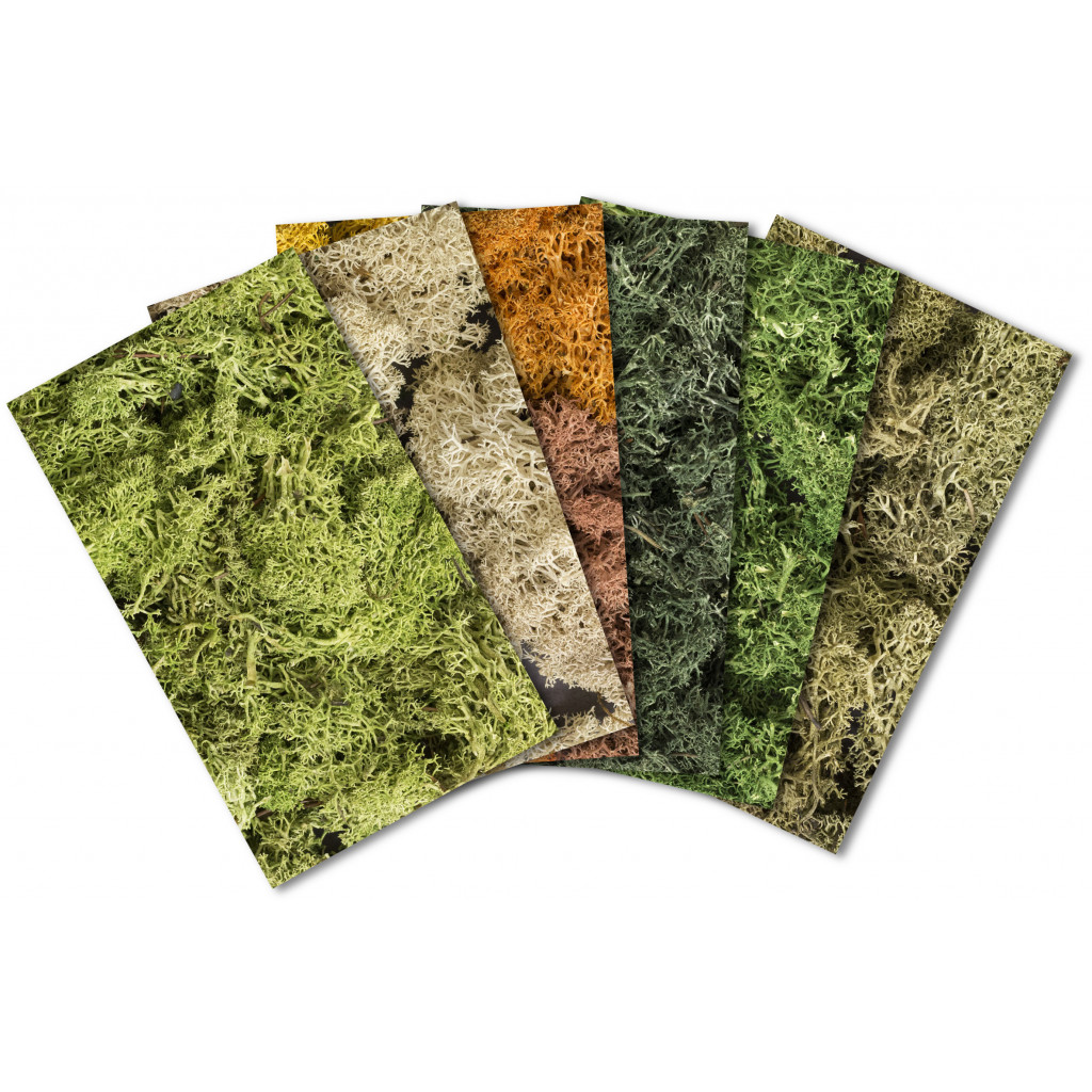 Woodland Scenics - Lichen