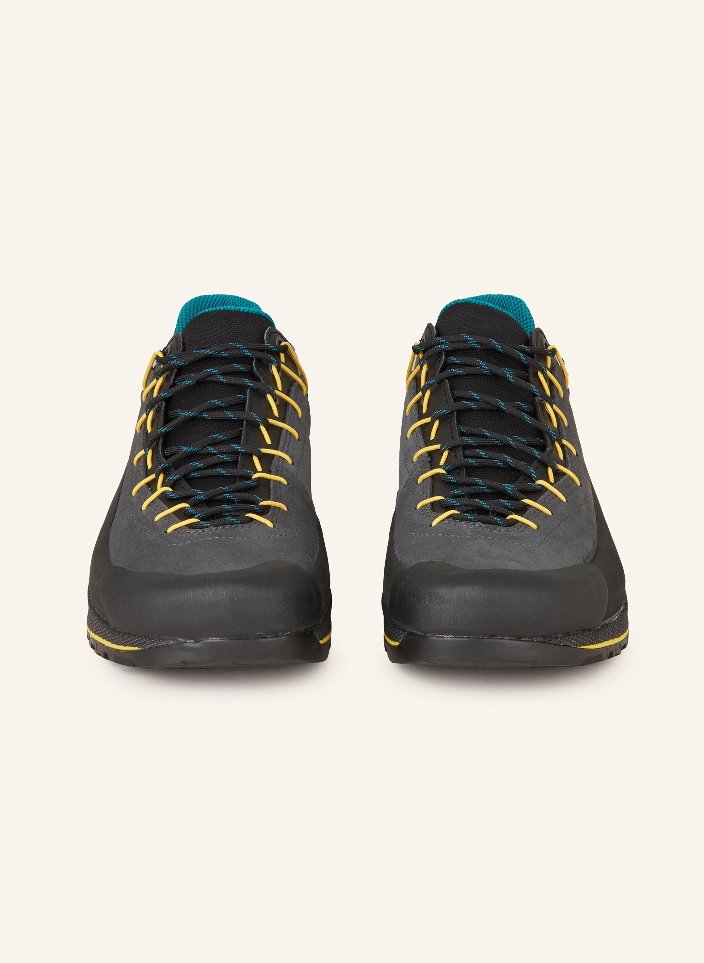 LA SPORTIVA Wanderschuhe TX4 EVO GTX